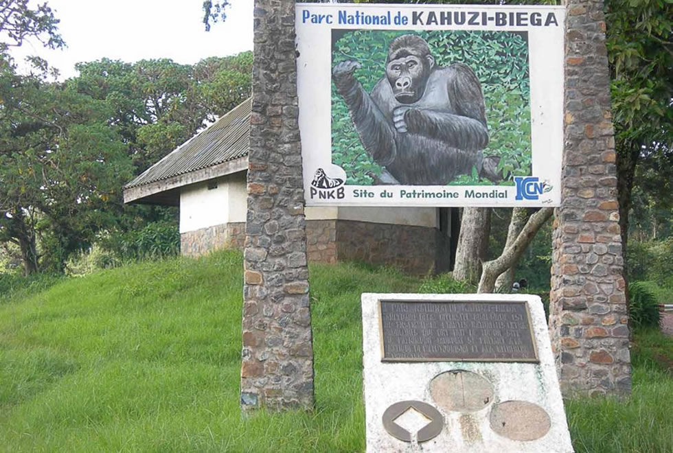 Kahuzi Biega National Park